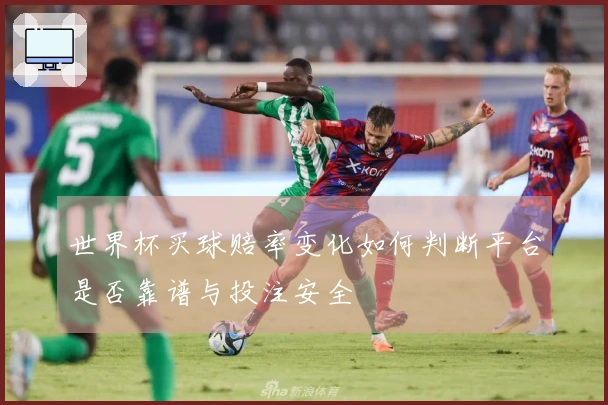 世界杯买球赔率变化如何判断平台是否靠谱与投注安全