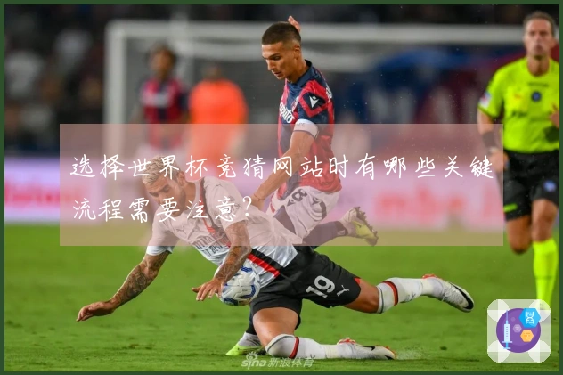 选择世界杯竞猜网站时有哪些关键流程需要注意？