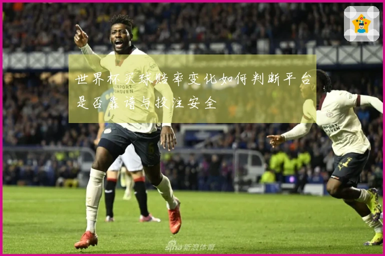 世界杯买球赔率变化如何判断平台是否靠谱与投注安全