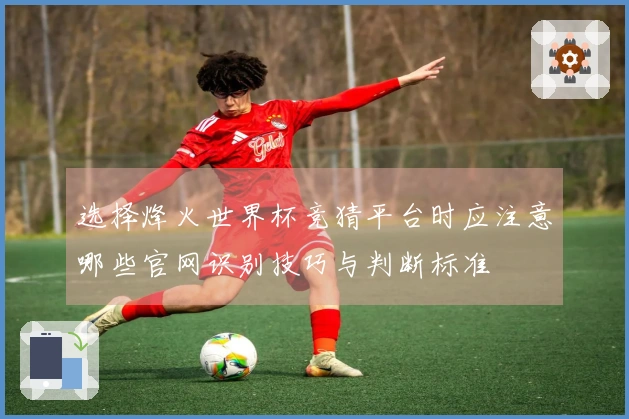 选择烽火世界杯竞猜平台时应注意哪些官网识别技巧与判断标准
